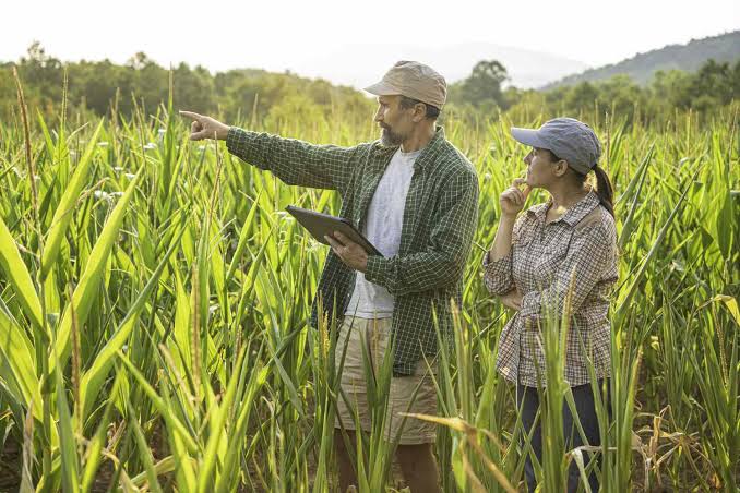 Finished Lots vs Raw Land: What Investors Should Know Before Buying